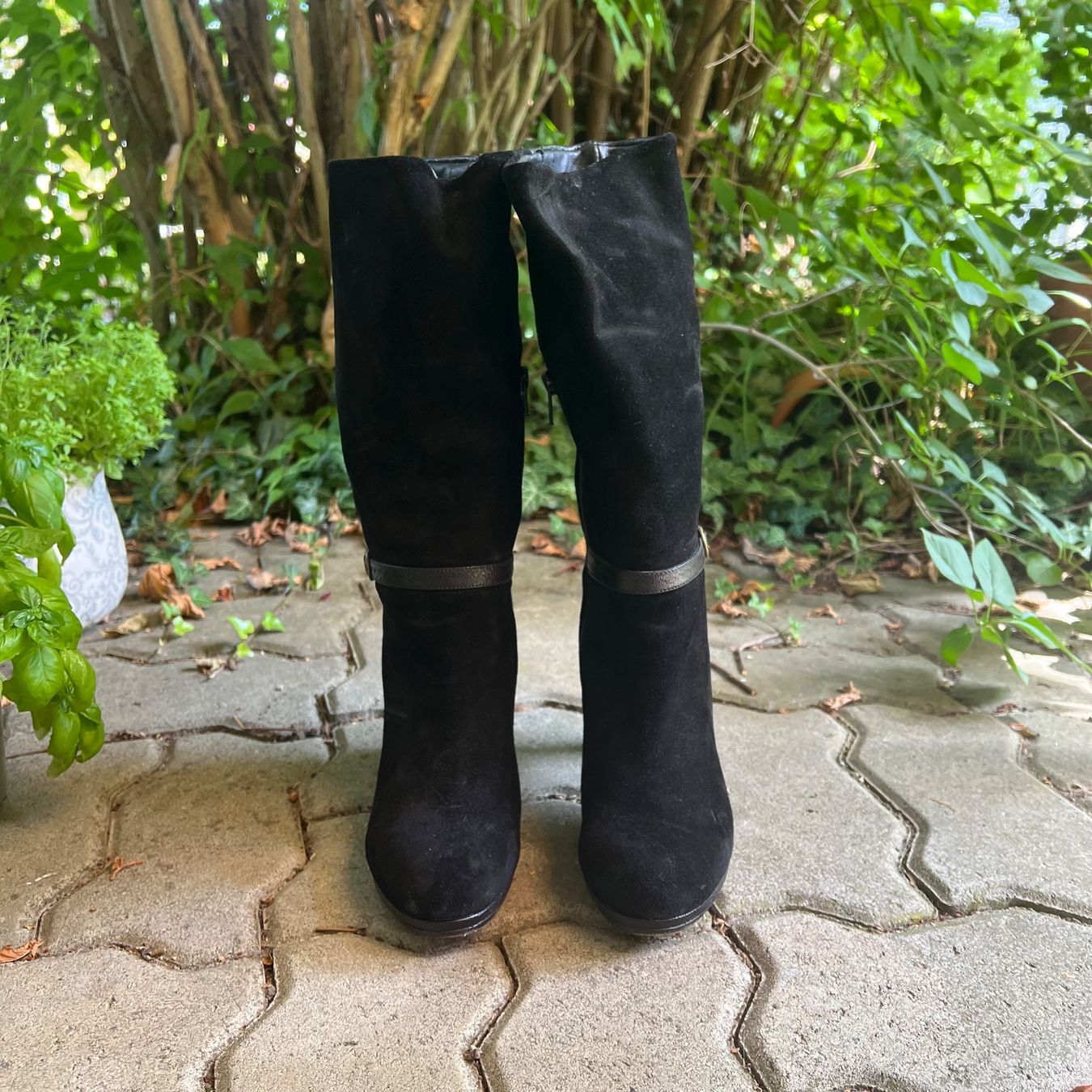 Chie Mihara Damenschuhe: Chie Mihara Stiefel – Gebraucht aus Zürich von sob_89m7 2