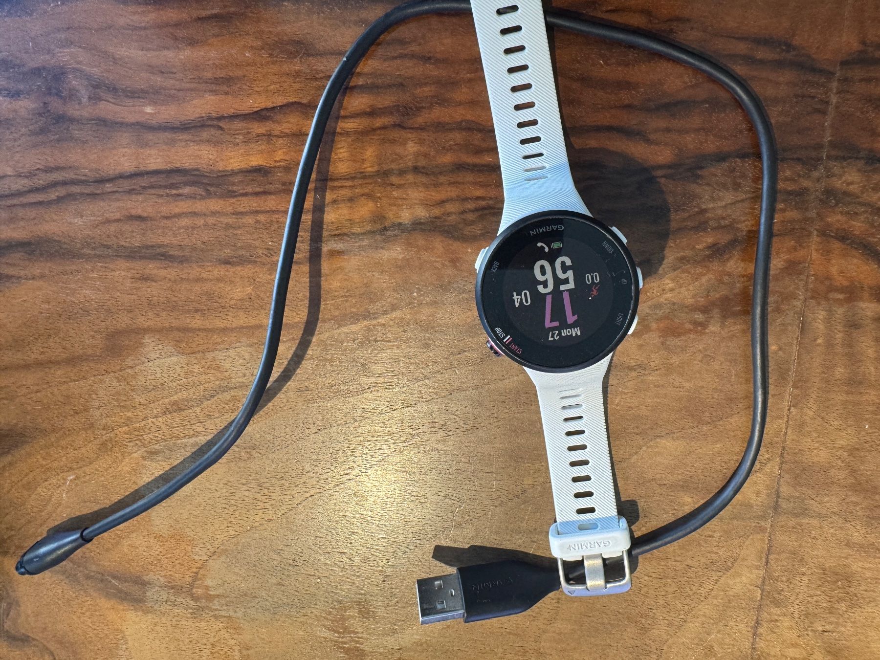 Garmin Smartwatch: Garmin Forerunner 45s – Gebraucht aus Bern von Keie