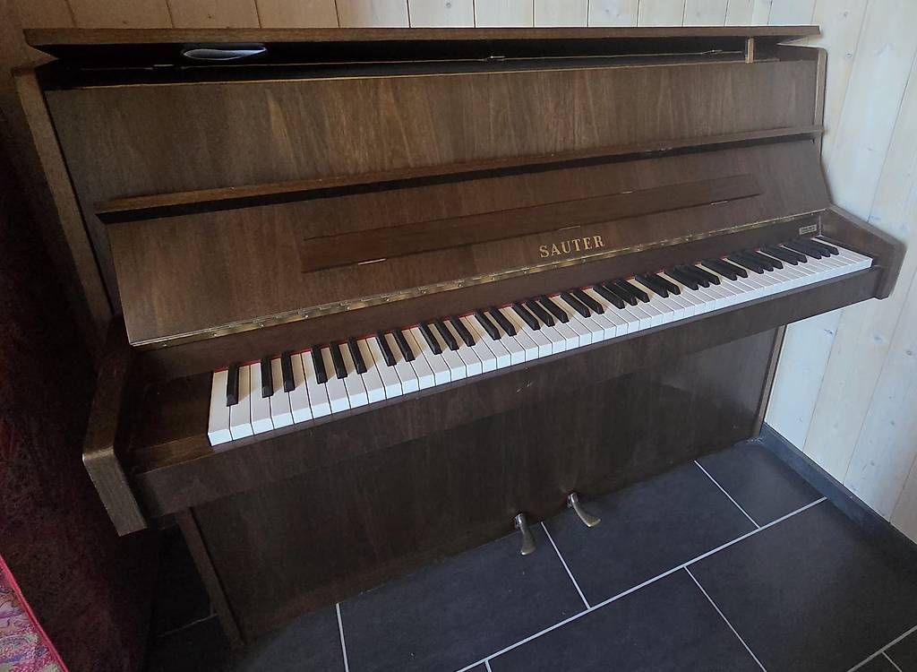 Strumenti musicali: Klavier Sauter – Usato da Wasen im Emmental venduto da ram_k6bk 1