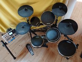Alesis DM10 gebraut