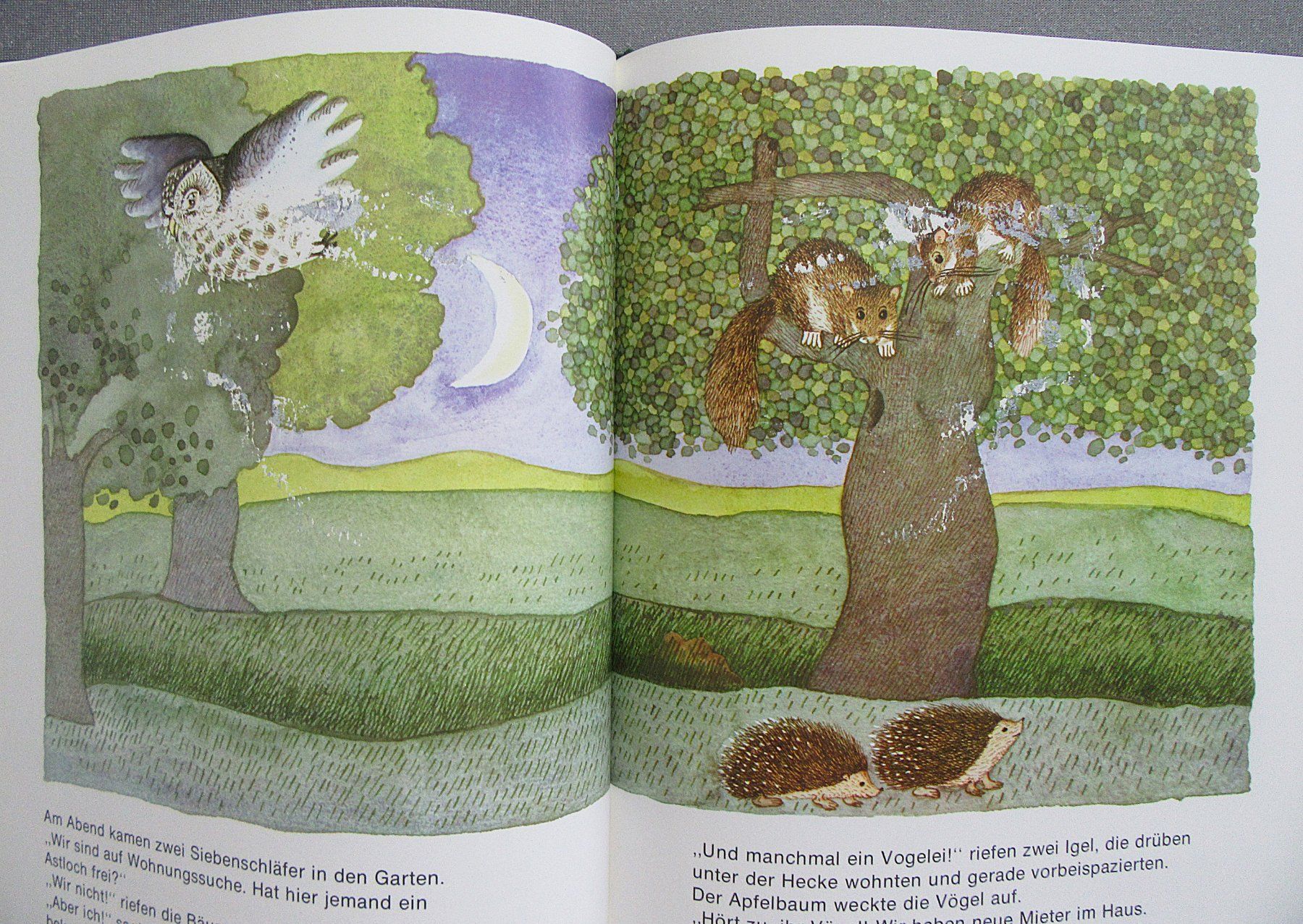 Livres: Der Apfelbaum - Bilderbuch ab CHF 1.00 – D'occasion à Auenstein par Padabimbim 4