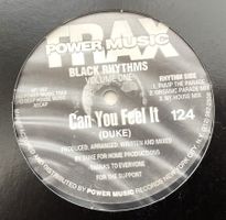 Black Rhythms - Can You Feel It (Vinyl, US, 1993)