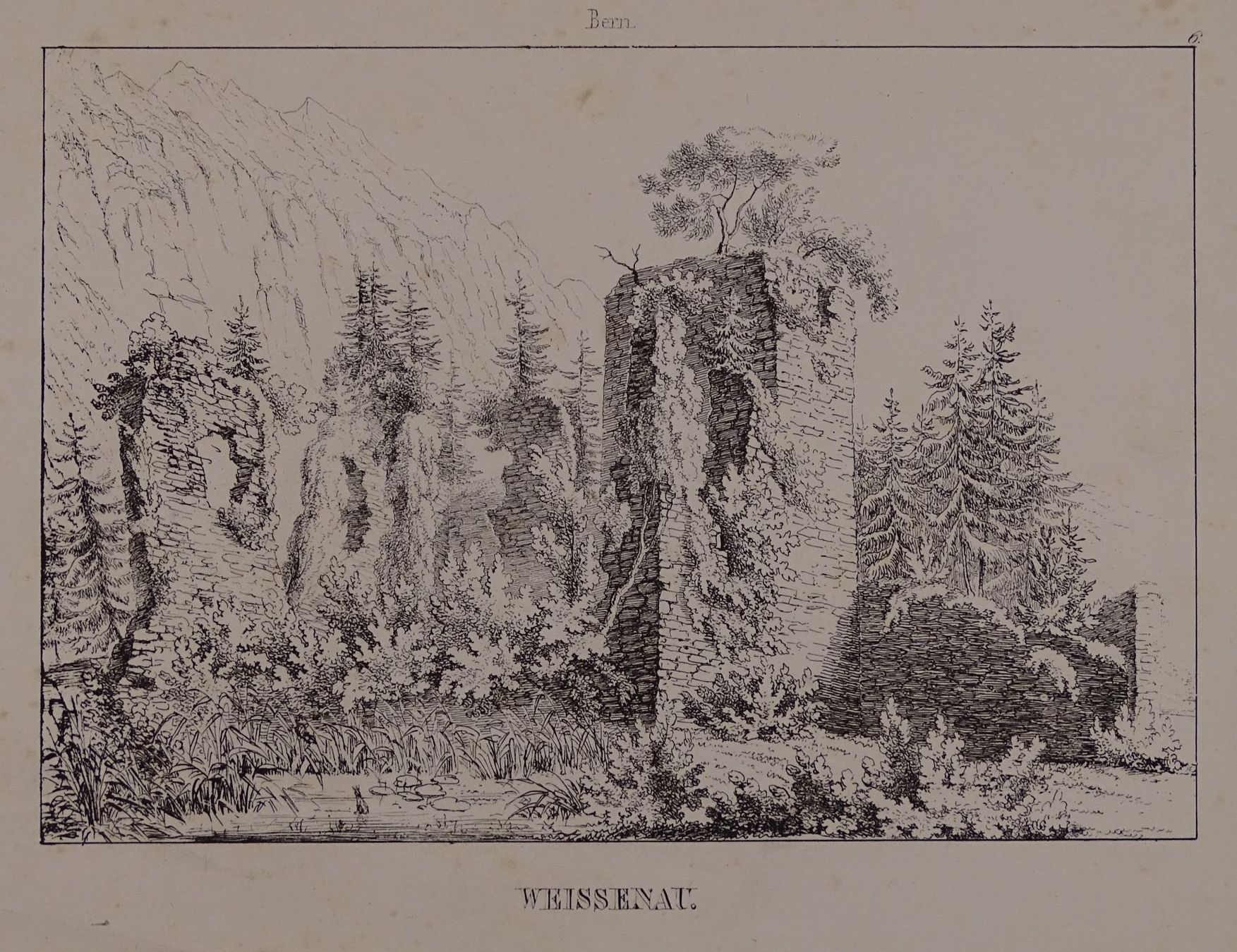 Incisioni: WEISSENAU BERN, FEDERLITHOGRAPHIE 1840 – Usato da Grüningen venduto da Kartensammler