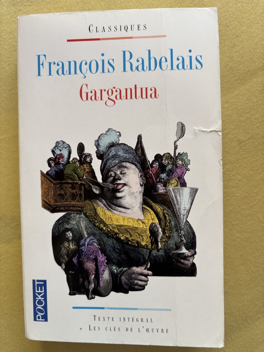 Libri: François Rabelais - Gargantua – Usato da La Chaux-de-Fonds venduto da lea_77ly