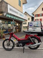 Puch Maxi S mit Ausweis