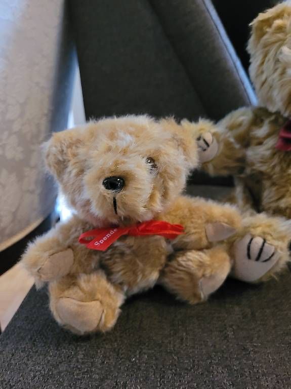 Spielzeuge: 4 Teddybären – Gebraucht aus Steckborn von bee_76v9 2