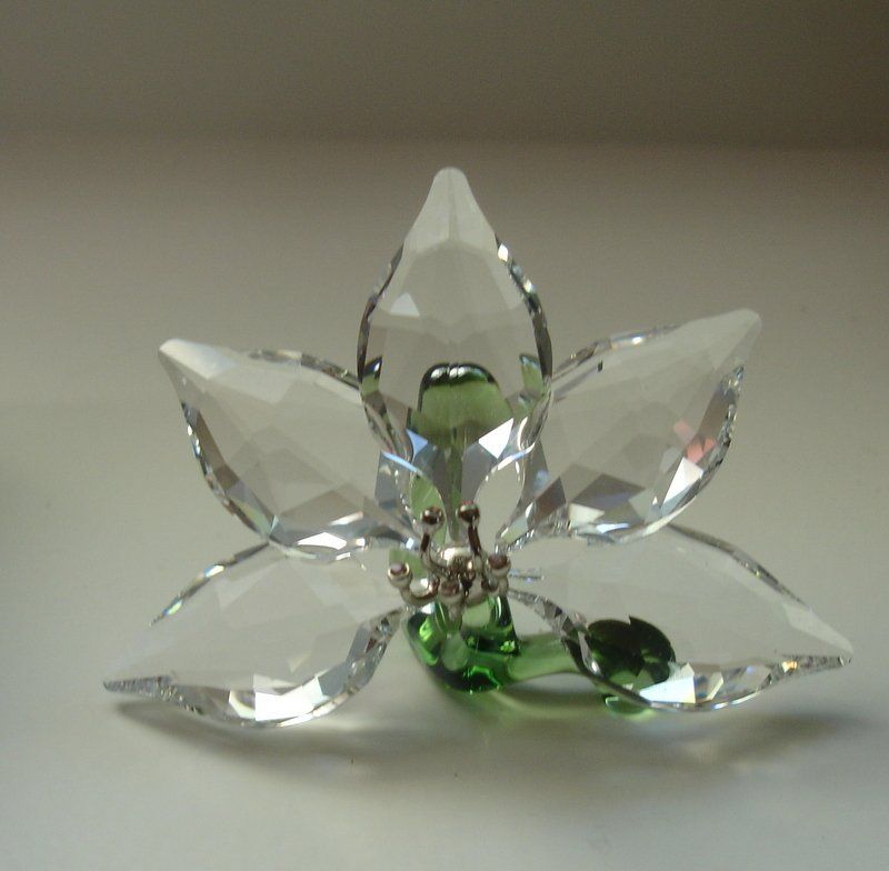 Swarovski Statuette: SWAROVSKI ORCHIDEE – Nuovo e nell'imballaggio originale da Oberentfelden venduto da Gipsy27