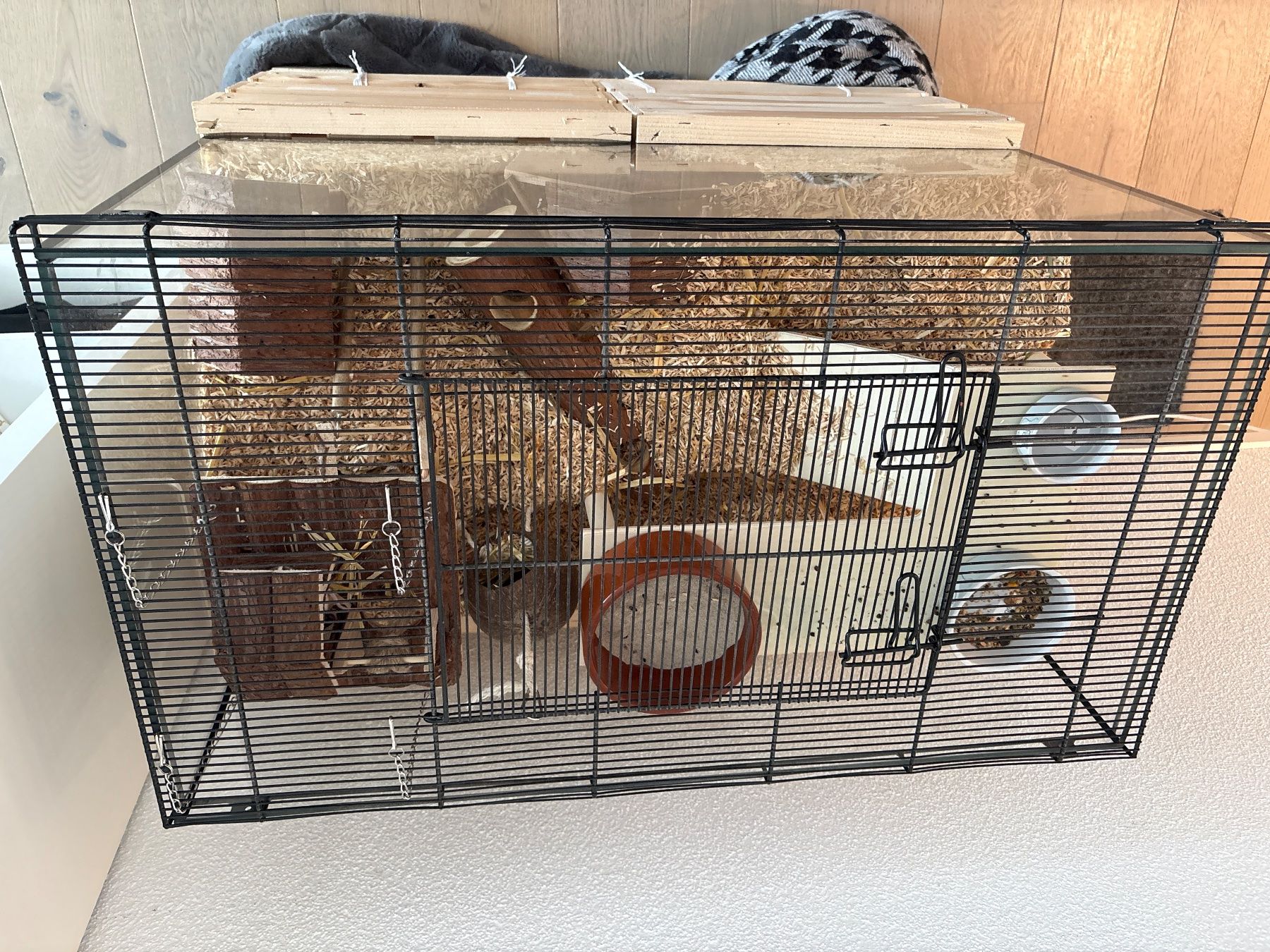 Terrarium: Kleintier-Terrarium – Gebraucht aus Pfäffikon ZH von che_868g 1