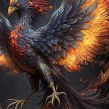 Profile image of Fenix78