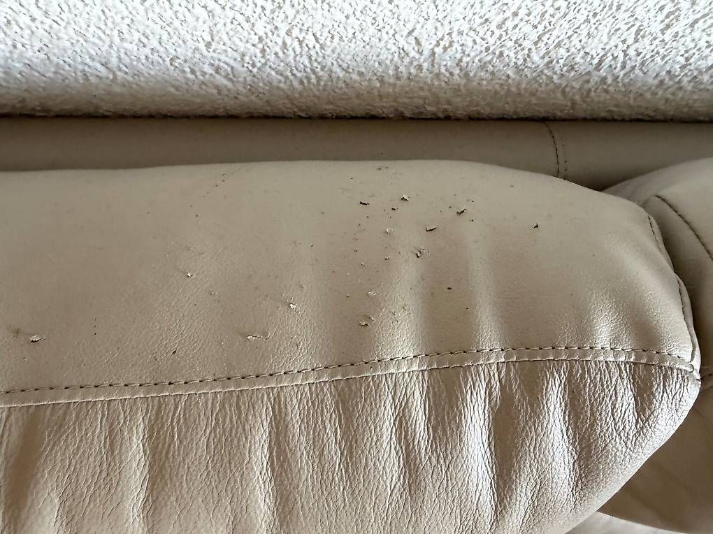 Sofas: Zweiteiliges Ledersofa – D'occasion à Sigriswil par globetrotter80 2