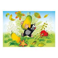 Puzzle, Der kleine Maulwurf, Pauli