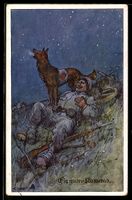 F.Gareis: Ein guter Kamerad, Sanitätshu