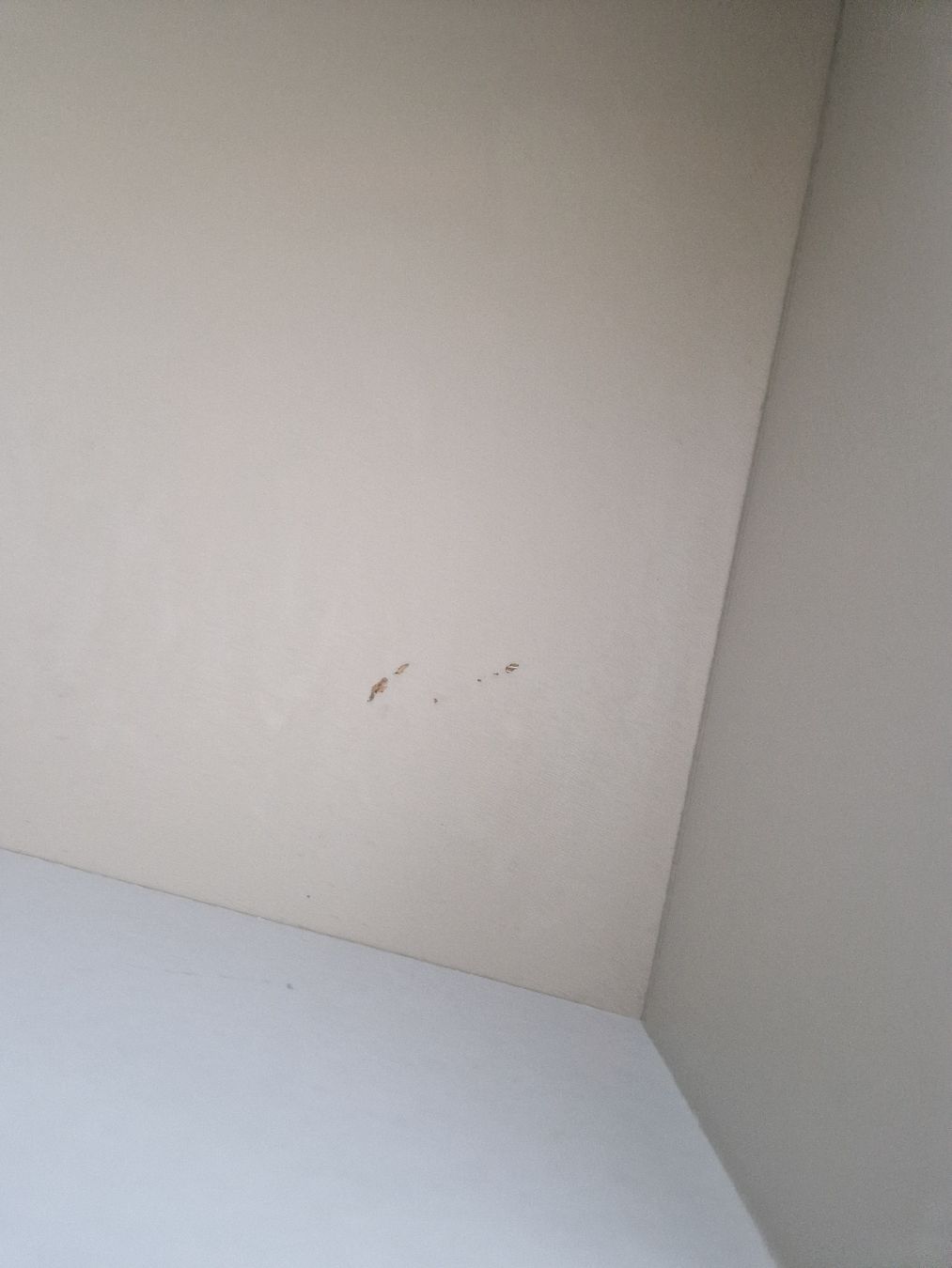 Ikea Cassettiere: MALM Kommode IKEA – Usato da Wittenbach venduto da jol_5h8l 2