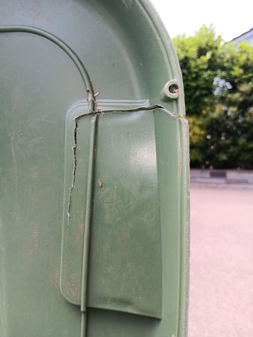 Sonstiges: Grüngut Container 240 Liter – Gebraucht aus Dietikon von Sauber64 4