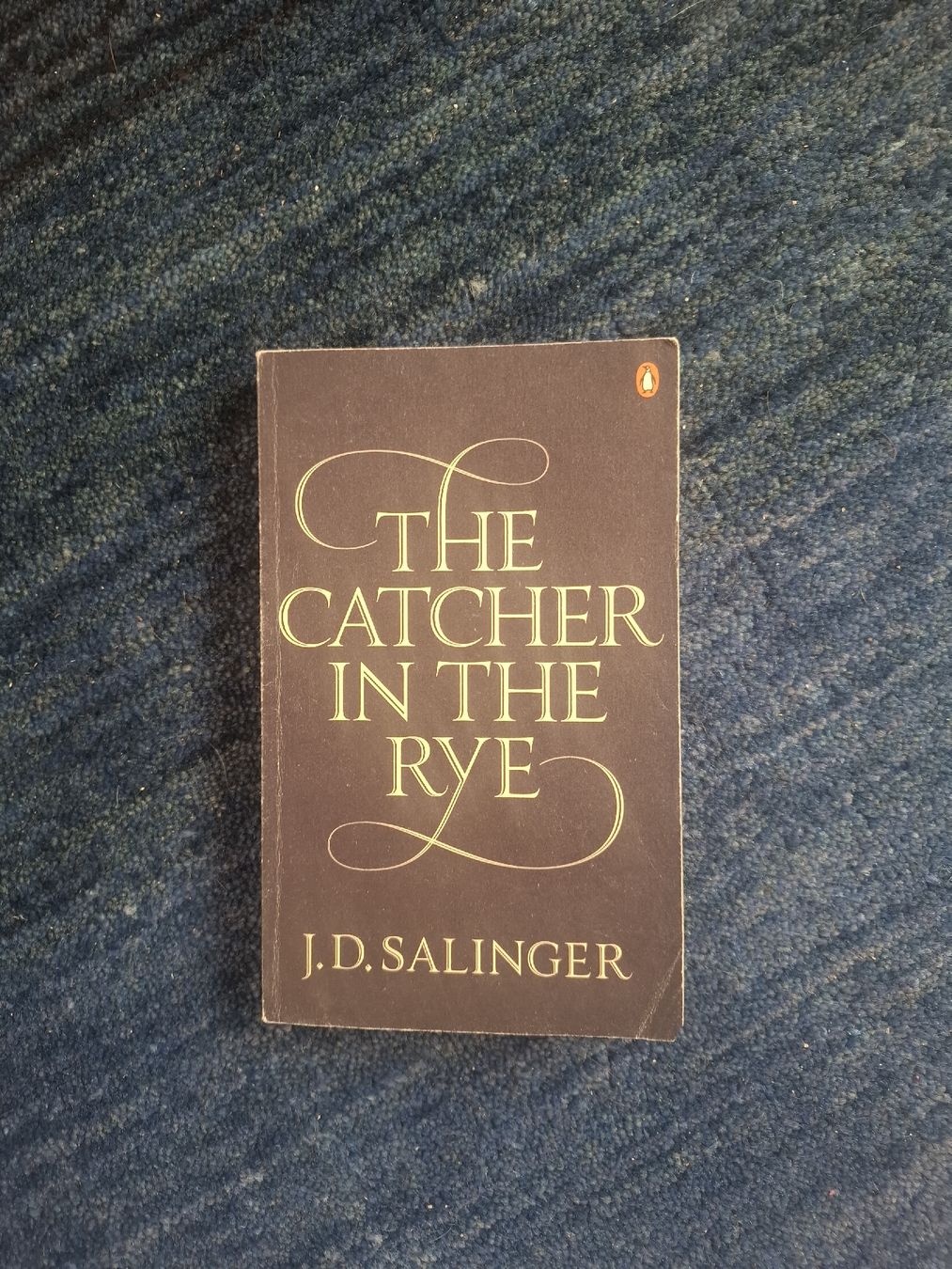 Libri: The catcher in the rye – Usato da Goldach venduto da ali_w5yy