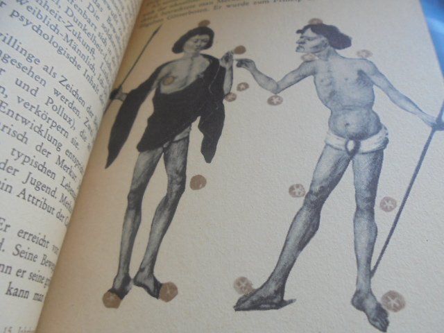 Libri: Zwillinge Tierkreisbuch – Usato da Hinwil venduto da Glasperlen 2