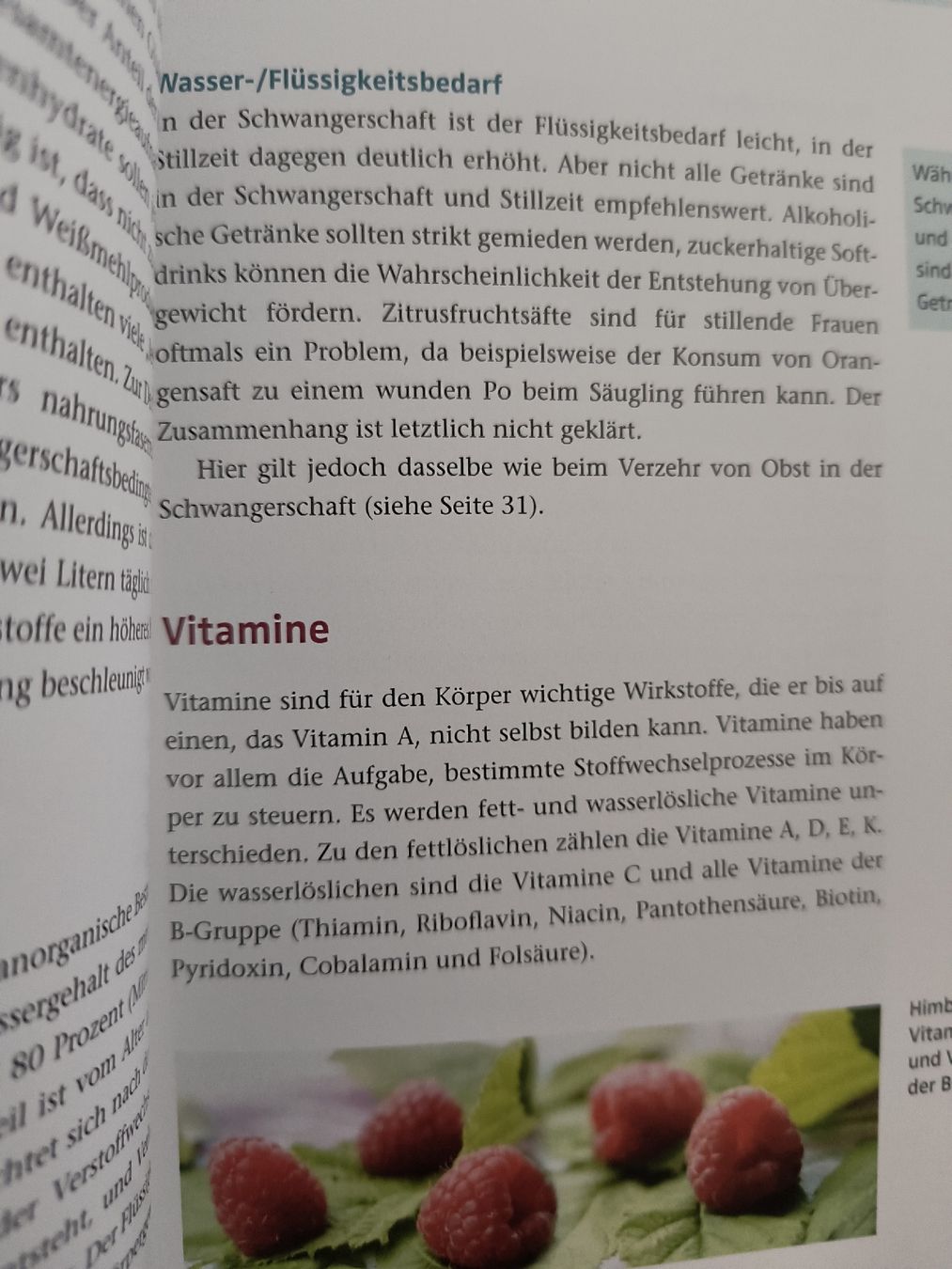 Bücher: Ernährungsratgeber Schwangerschaft Buch – Gebraucht aus Schöfflisdorf von KKB-Team1 1