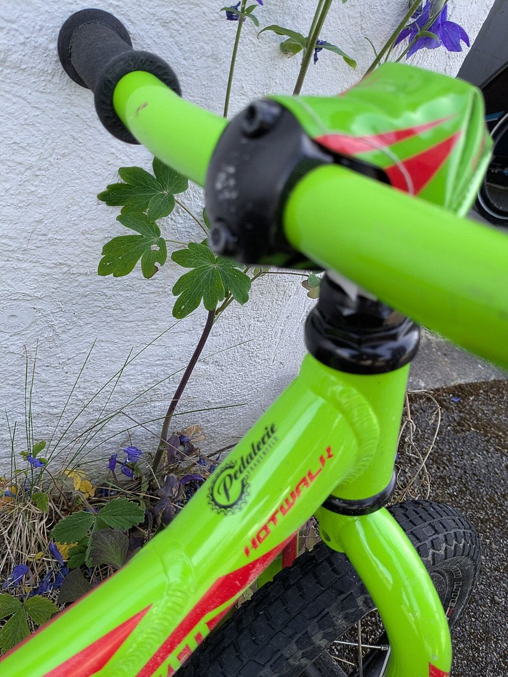 Specialized Velos: Kinder-Laufrad Specialized Hotwalk, 12 Zoll, leuchtgrün – Gebraucht aus Pfungen von Reitsch 2