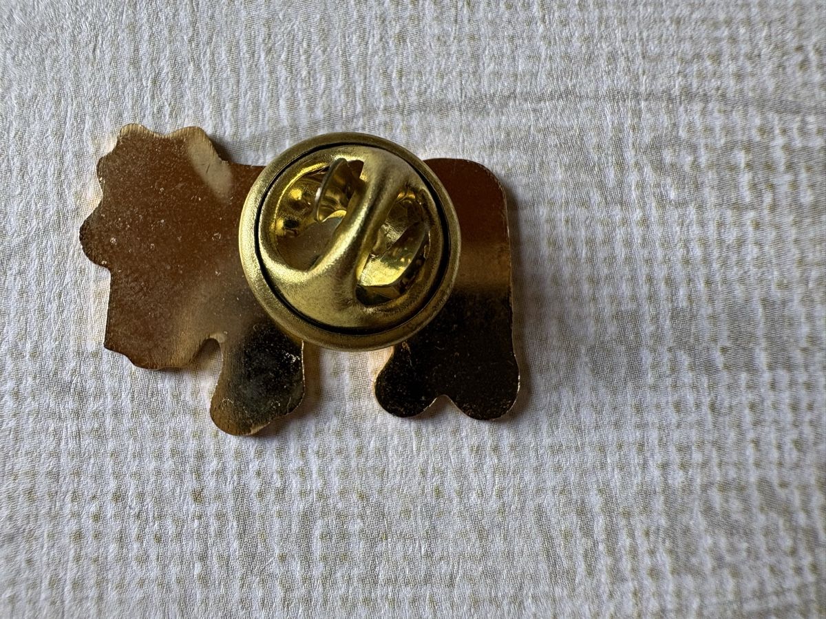 Placchette & Badge: Pin vache - Kuh - Schweiz – Usato da Zweisimmen venduto da Domii 3