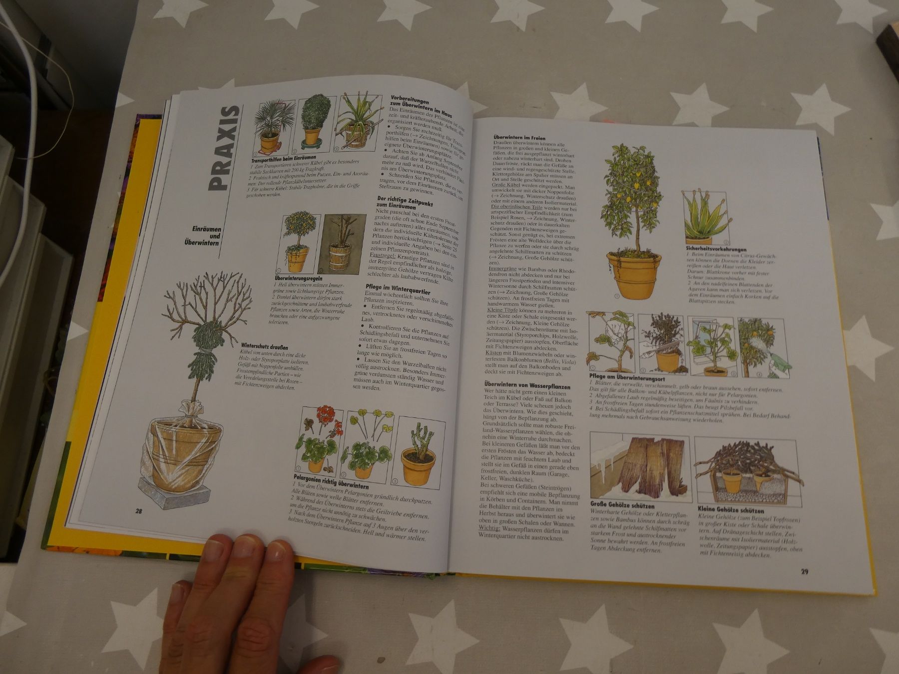 Libri: Buch: Balkon & Kübelpflanzen Halina Heitz – Usato da Rafz venduto da Powacaddy 2