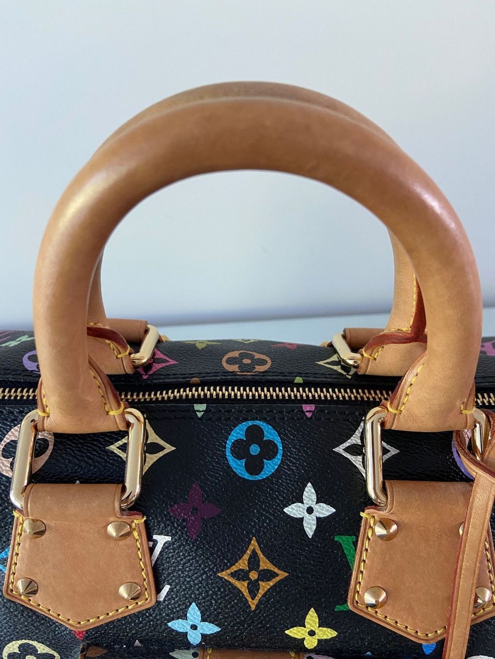 Louis Vuitton Borse da donna: Louis Vuitton Speedy Multicolore – Usato da Altendorf venduto da CyRoBi 2