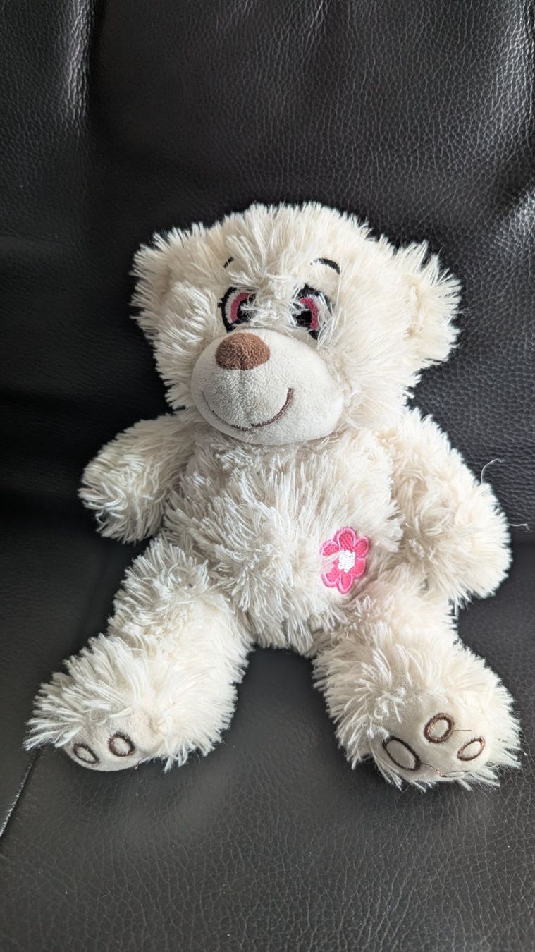 Spielzeuge: Kuscheliger Teddybär – Gebraucht aus Frauenfeld von mf2_yb66