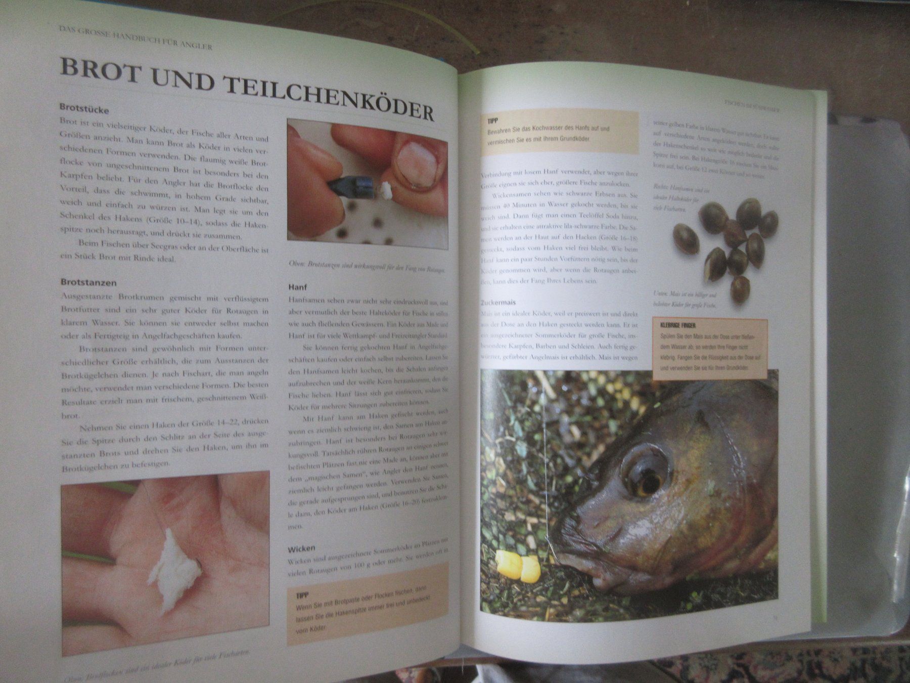 Libri: Das grosse Buch für Angler – Usato da Madiswil venduto da Mamaro 2