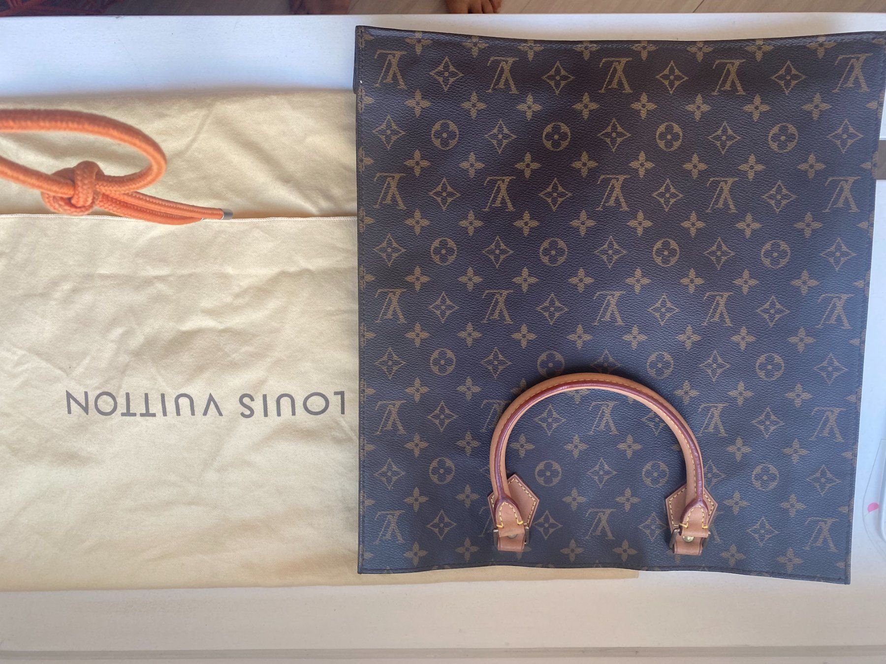 Louis Vuitton Borse: Louis Vuitton LV Sac Plat - New – Nuovo e nell'imballaggio originale da Zürich venduto da ali_2qlh 2