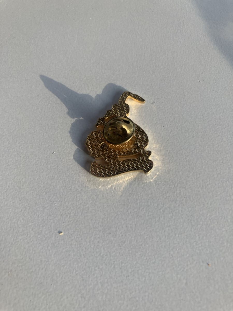 Placchette & Badge: Pin Pölla Röhrli Gugga – Usato da Eschlikon TG venduto da Urs.knopf 1