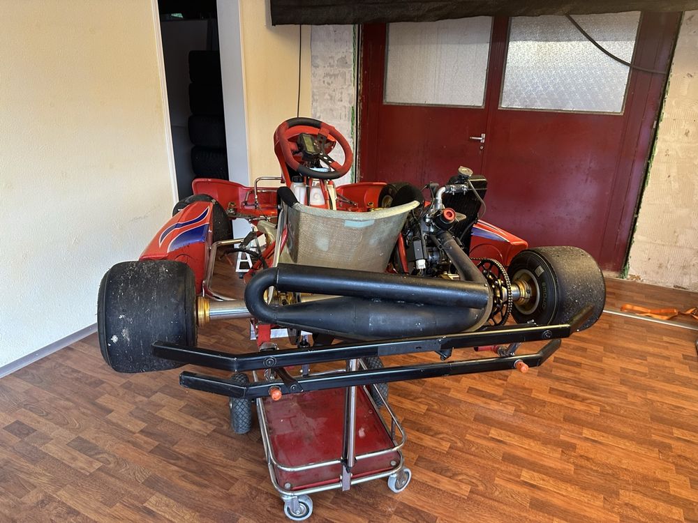 Swiss Hutless Karts: Rennkart Swiss Hutless mit Rotax Max 125ccm – D'occasion à Meggen par Aur_r5rp 2