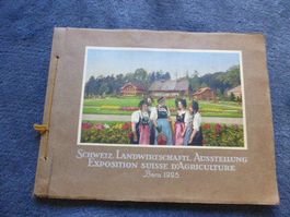 Bern,Landwirtschaftliche Ausstellung,1925,Maultier,Gewerbe..