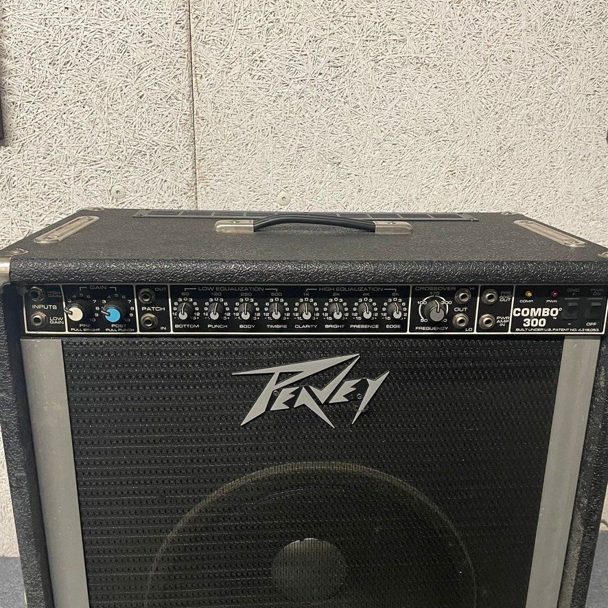 Peavey Amplificatori: Peavey Combo 300 Bassverstärker – Usato da Zürich venduto da zoopsel 1