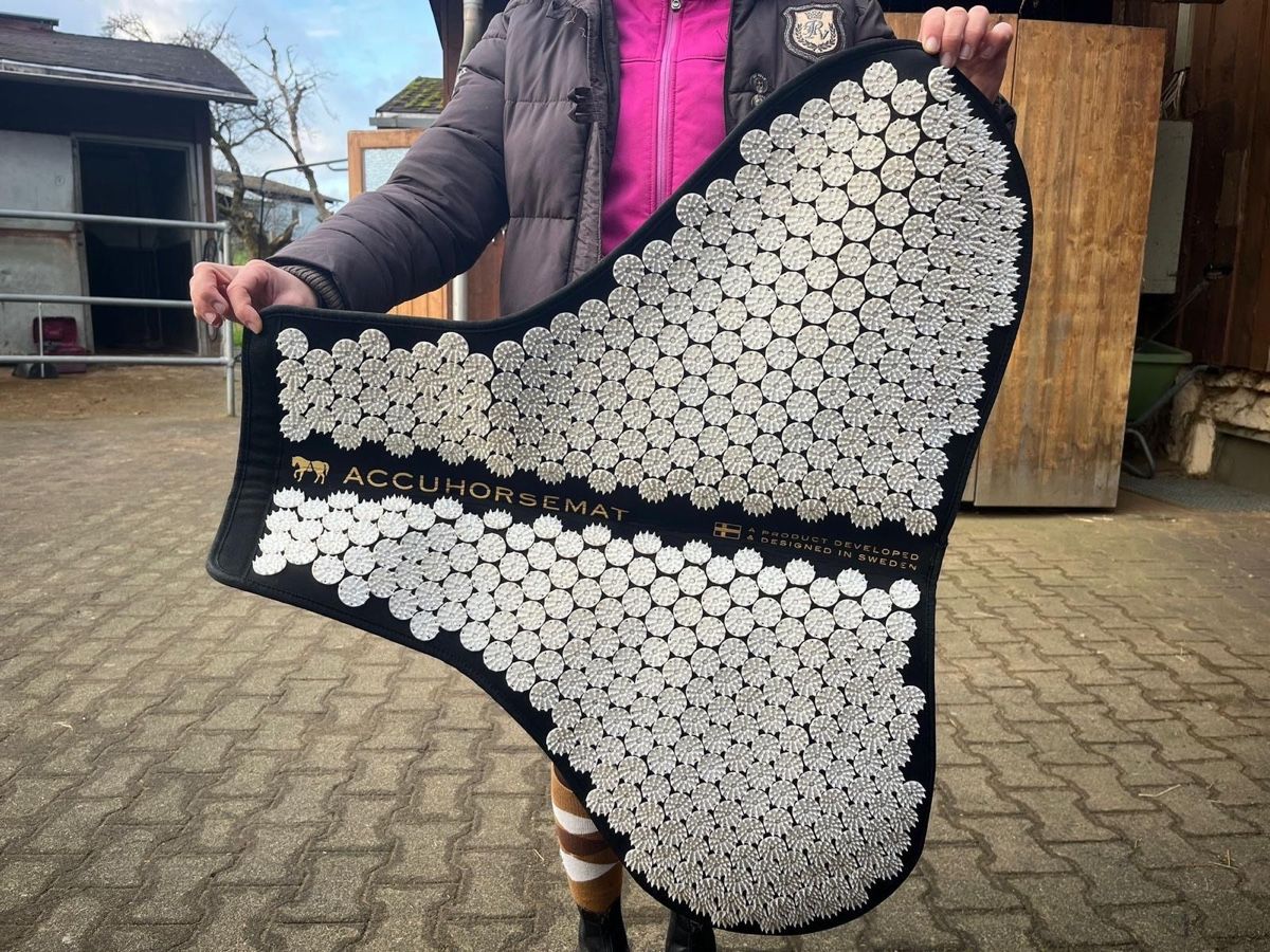 Coperte: Accuhorsemat Pferdedecke Royalblau Gr. M – Nuovo e nell'imballaggio originale da Oberurnen venduto da jasmin2fel 3
