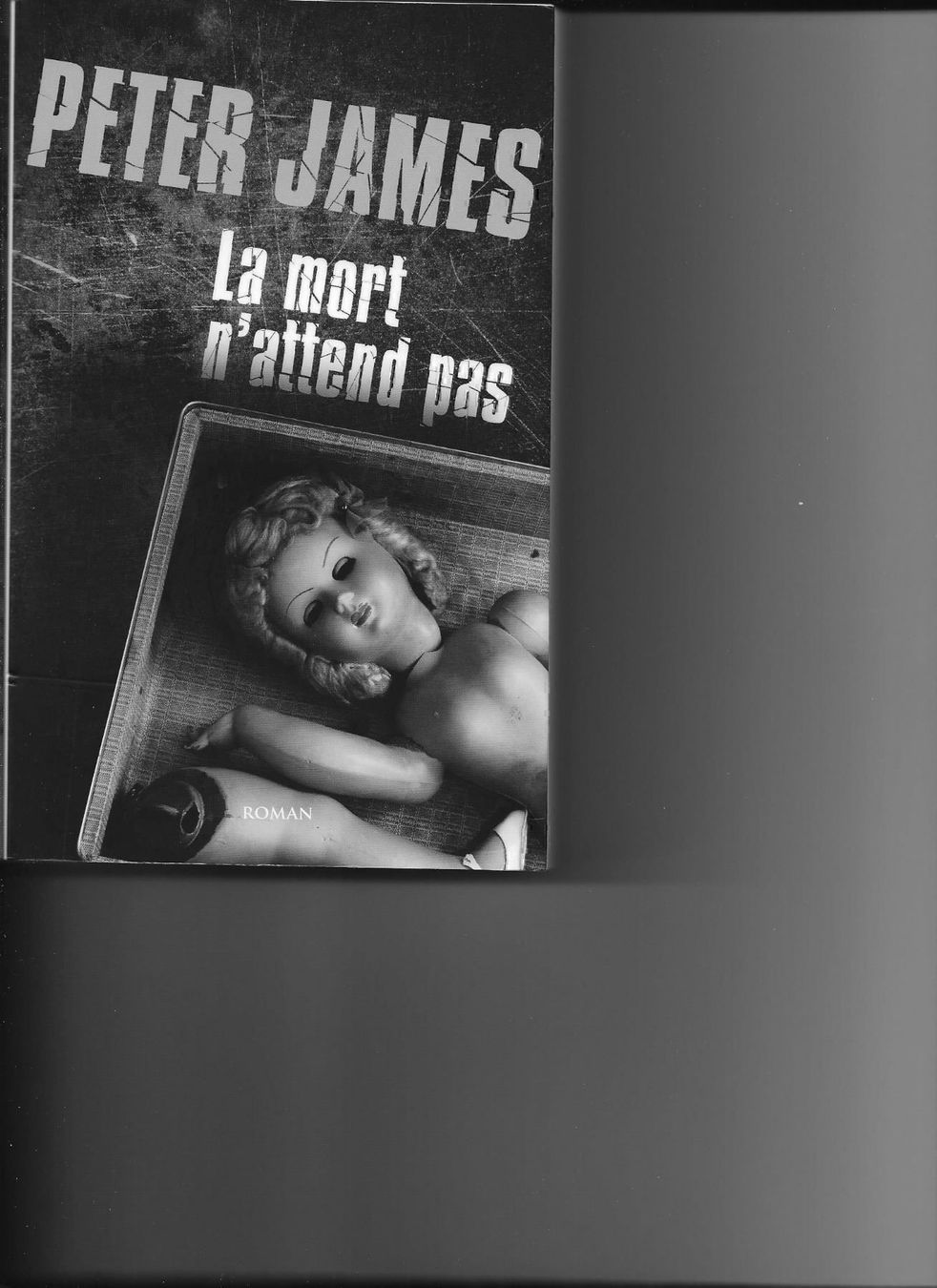 Libri: La mort n'attend pas de Peter James – Nuovo (secondo la descrizione) da Yverdon-les-Bains venduto da Monique6