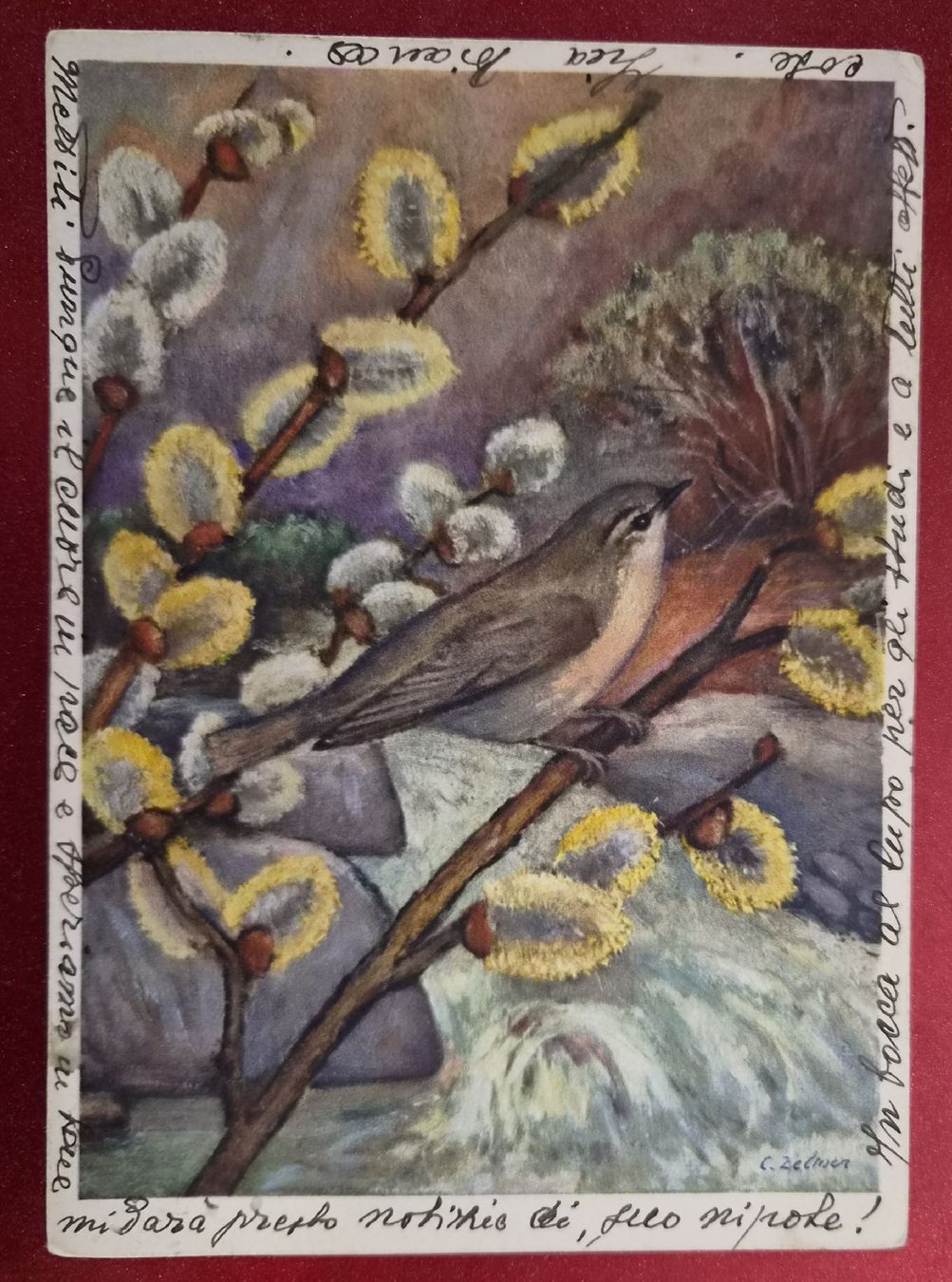 Cartoline postali: Vogel & Weidenkätzchen 1949 Acquarossa – Usato da Melchnau venduto da Arthurius