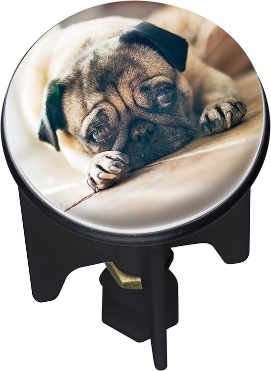 PluggyAbflussStöpselUHRHUNDMOPS Kaufen auf Ricardo