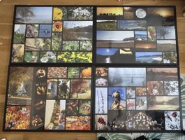 Fotografie 4 Jahreszeiten inkl Rahmen