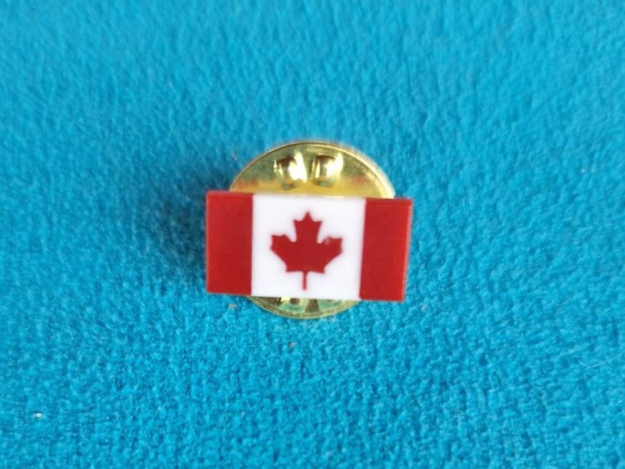 Placchette & Badge: Épingle de collection - Drapeau Canadien. – Nuovo (secondo la descrizione) da Gryon venduto da dra_qxh2