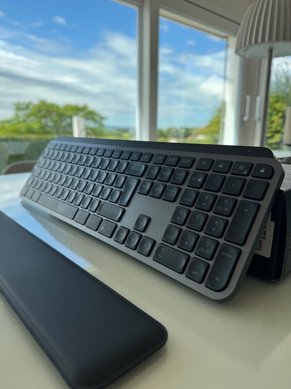 Logitech Tastiere: Logitech MX Keys S – Nuovo (secondo la descrizione) da Bonvillars venduto da sachakv