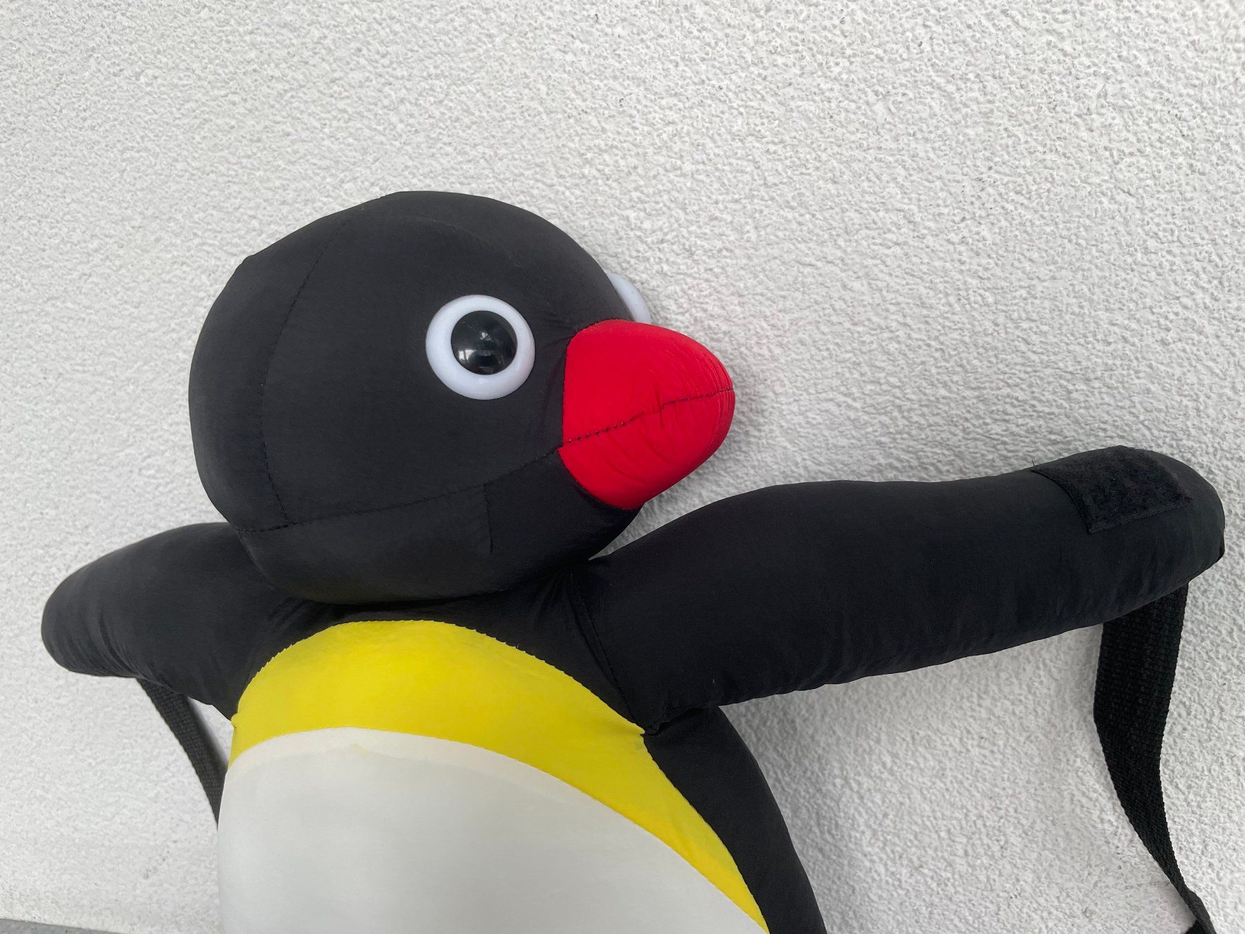 Borse & Zaini: PINGU Rucksack – Nuovo e nell'imballaggio originale da Schaffhausen venduto da krokodilgena 1