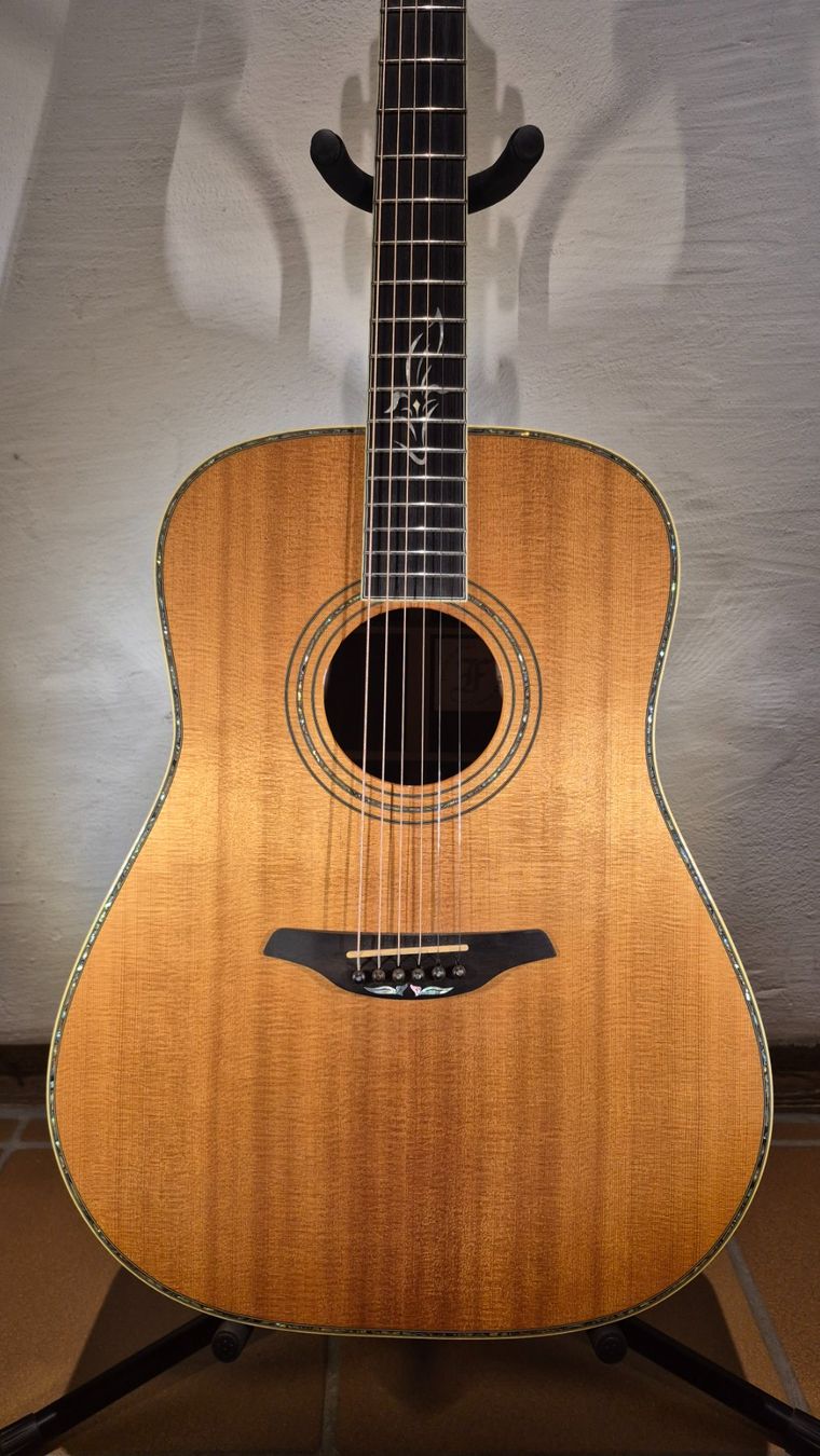 Furch Strumenti musicali: Western Gitarre Furch D25-SR – Usato da Winterthur venduto da NorrSydGuitars 4