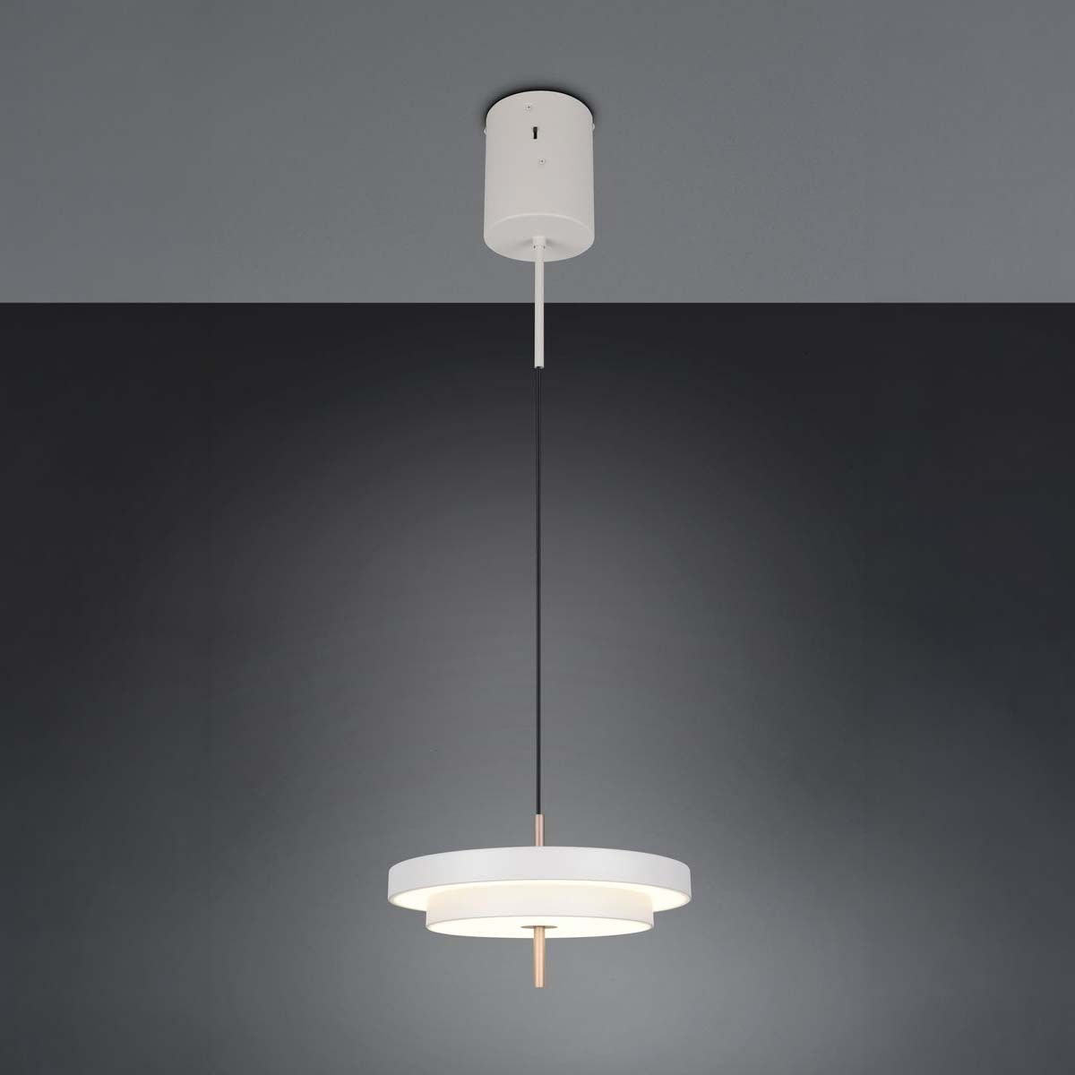Lampadari & plafoniere: LED Pendelleuchte, Grau, CCT, 40 cm Ø – Nuovo (secondo la descrizione) da Kreuzlingen venduto da Smart-Light