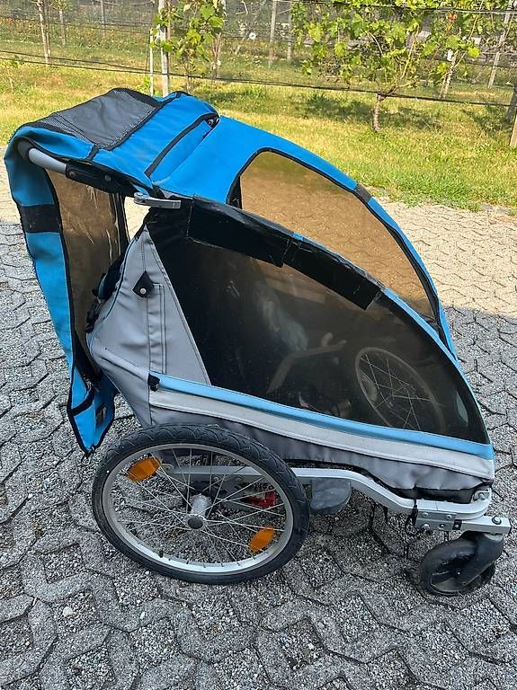 Rimorchi: Rimorchio per trasporto bambini – Usato da Bellinzona venduto da Embe 4