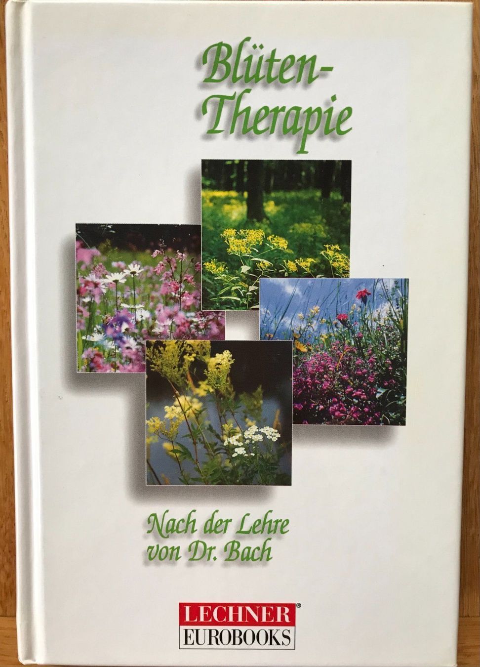 Libri: Bach - Blütentherapie - nach Dr. Bach – Nuovo (secondo la descrizione) da Arbon venduto da KaSaBo 1