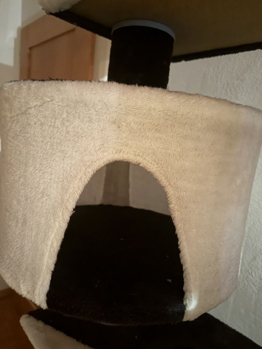 Katzenbaum - Kratzbaum: Riesiger Katzenbaum 2,5 x 2 Meter – Gebraucht aus Stäfa von Mpower0 1
