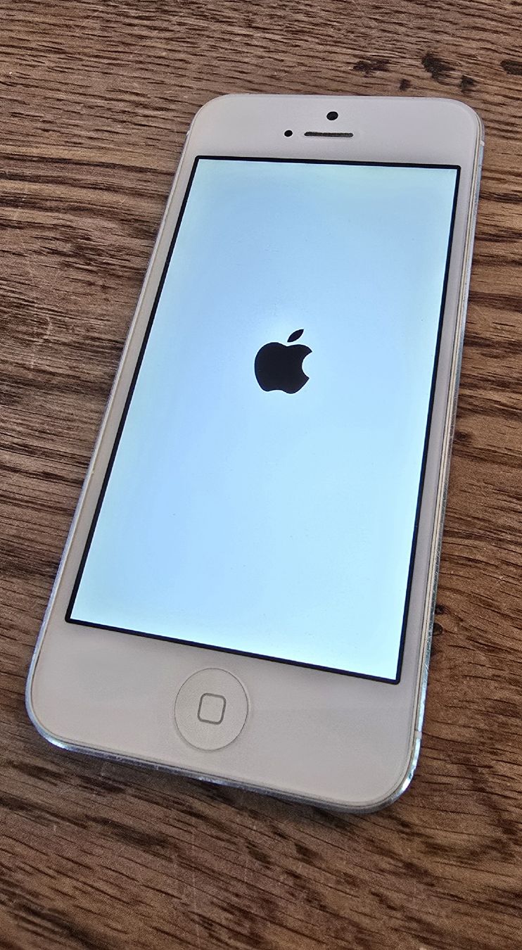 Apple Telefoni cellulari / Smartphones: iPhone 5 in gutem Zustand – Usato da Port venduto da Loeru3