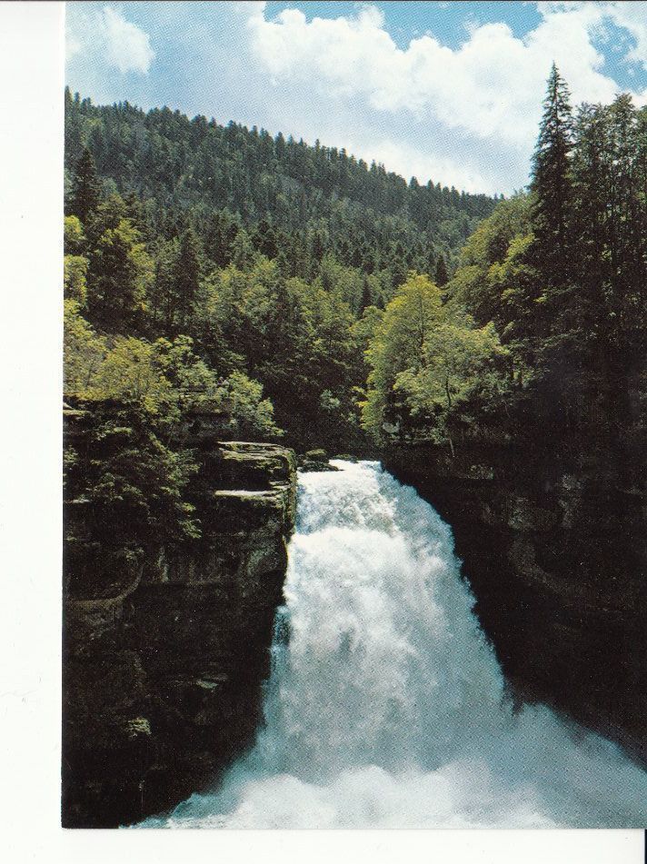 Cartoline postali: Saut de Doubs um 1995 – Usato da Bürglen TG venduto da StampGraf