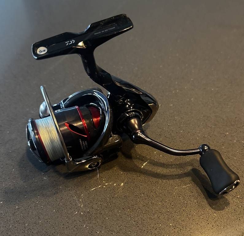 Daiwa Tamburi & Mulinelli: Daiwa Fuego LT 1000 – Usato da Sementina venduto da VS_95 1