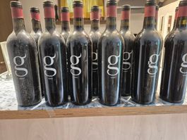 5 Flaschen GAGO 2015 – Telmo Rodríguez – Toro Spanien-