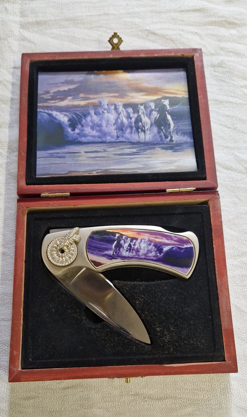 Accessori: KLAPPMESSER MIT ROSS MOTIF – Usato da Bilten venduto da Mic2022